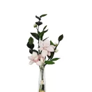 SummerMagnolias-pink_1280x