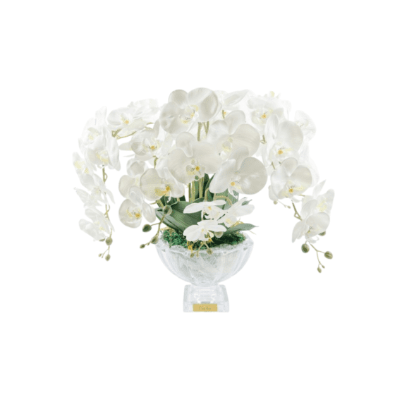 Flor Perfumada - Centerpiece Orchids